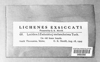 Image Associated With the Occurence